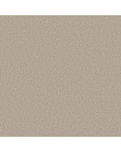 Shaw BEST YET Sugar Cookie Carpet - SH-5E745-00127