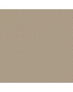 Shaw BEST YET Agate Carpet - SH-5E745-00132