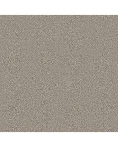 Shaw BEST YET Lady Liberty Carpet - SH-5E745-00502