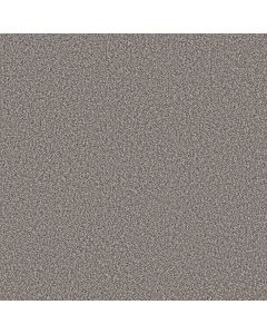 Shaw BEST YET Stainless Carpet - SH-5E745-00508