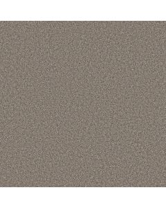 Shaw BEST YET Graphite Carpet - SH-5E745-00510