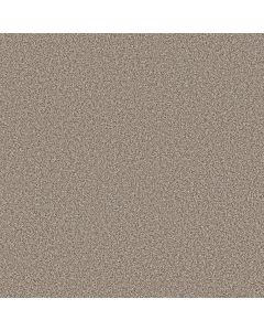 Shaw BEST YET Timeless Tan Carpet - SH-5E745-00704