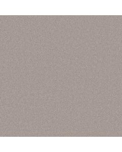Shaw YOUR COMFORT I Shoreline Haze Carpet - SH-5E746-0128S