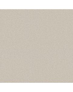 Shaw YOUR COMFORT II Champagne Toast Carpet - SH-5E747-0153S