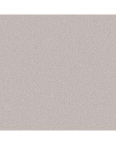 Shaw YOUR COMFORT II Whitewashed Frame Carpet - SH-5E747-0154S