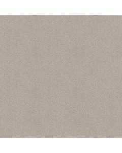 Shaw COMFORTING I Dainty Lace Carpet - SH-5E749-00149