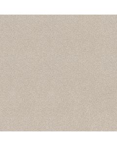Shaw COMFORTING I Porcelain Carpet - SH-5E749-00163