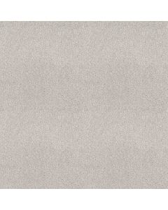 Shaw COMFORTING I Thin Ice Carpet - SH-5E749-00164