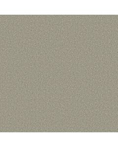 Shaw COMFORTING I Sage Brush Carpet - SH-5E749-00340