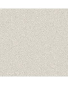 Shaw COMFORTING II Pearly Gates Carpet - SH-5E750-00142