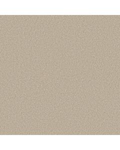 Shaw COMFORTING II Mesa Carpet - SH-5E750-00143