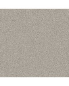 Shaw COMFORTING II French Buff Carpet - SH-5E750-00146