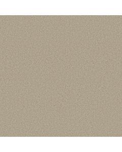 Shaw COMFORTING II Chamois Carpet - SH-5E750-00147