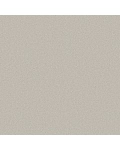 Shaw COMFORTING II Thin Ice Carpet - SH-5E750-00164