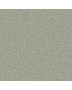 Shaw COMFORTING II Sage Brush Carpet - SH-5E750-00340