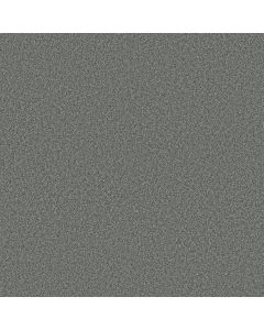 Shaw COMFORTING II Pencil Point Carpet - SH-5E750-00530