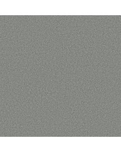 Shaw COMFORTING II Storm Cloud Carpet - SH-5E750-00539