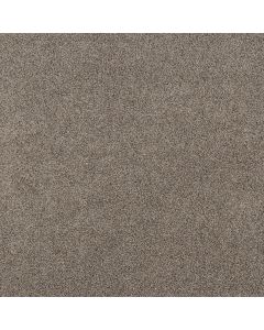 Shaw SOFT EFFERVESCENCE Nutria Carpet - SH-5E783-00102