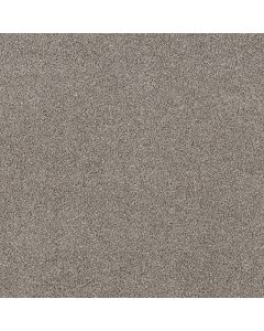 Shaw SOFT EFFERVESCENCE Mushroom Carpet - SH-5E783-00111