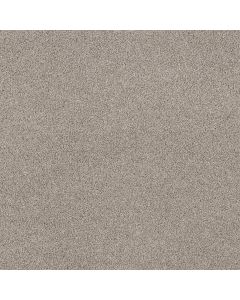 Shaw SOFT EFFERVESCENCE Dawn Beige Carpet - SH-5E783-00115