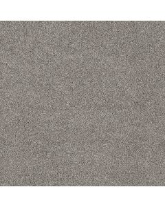 Shaw SOFT EFFERVESCENCE London Fog Carpet - SH-5E783-00509