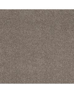 Shaw SOFT EFFERVESCENCE Nature Trail Carpet - SH-5E783-00700