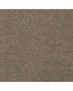 Shaw SOFT EFFERVESCENCE Mocha Latte Carpet - SH-5E783-00705