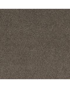 Shaw SOFT EFFERVESCENCE Tree Bark Carpet - SH-5E783-00706