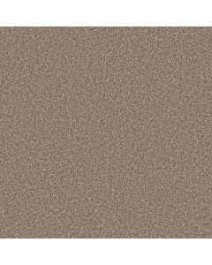 Shaw SOFT RADIANCE Folklore Carpet - SH-5E784-00101