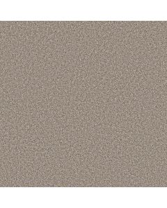 Shaw SOFT RADIANCE Daytona Sand Carpet - SH-5E784-00105