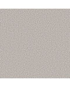 Shaw SOFT RADIANCE Thin Ice Carpet - SH-5E784-00507