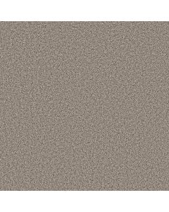 Shaw SOFT RADIANCE Overcast Carpet - SH-5E784-00510