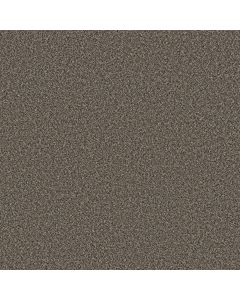 Shaw SOFT RADIANCE Tree Bark Carpet - SH-5E784-00706