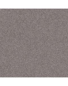 Shaw INLET SHORE I 12' Overcast Carpet - SH-5E788-58500