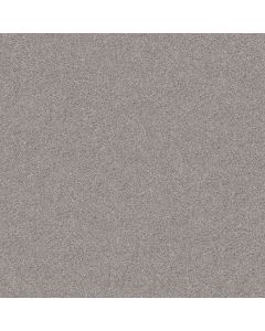 Shaw INLET SHORE I 12' Brushed Nickel Carpet - SH-5E788-58508