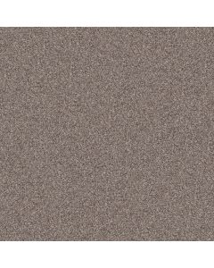 Shaw INLET SHORE I 15' Smooth Satin Carpet - SH-5E789-58112