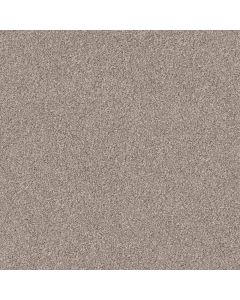 Shaw INLET SHORE II 15' Pale Ecru Carpet - SH-5E791-58109