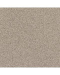 Shaw AFFIRMATION I Sculptor Carpet - SH-5E794-00103