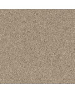 Shaw AFFIRMATION I Loft Light Carpet - SH-5E794-00104