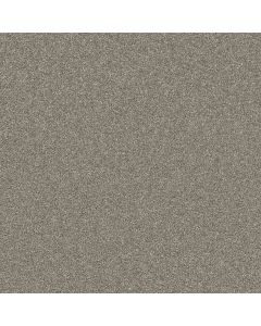 Shaw AFFIRMATION I Vintage Pewter Carpet - SH-5E794-00105