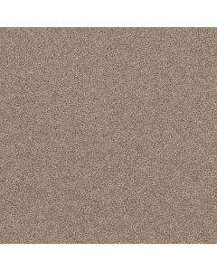 Shaw AFFIRMATION I Basketry Carpet - SH-5E794-00106