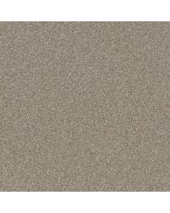Shaw AFFIRMATION I Plateau Carpet - SH-5E794-00110