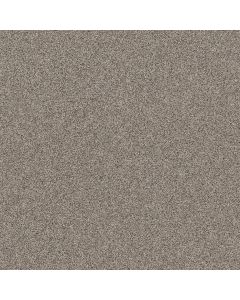 Shaw AFFIRMATION I Bistro Carpet - SH-5E794-00111