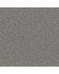 Shaw AFFIRMATION I Clear Vista Carpet - SH-5E794-00403