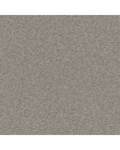 Shaw AFFIRMATION I Lunar Surface Carpet - SH-5E794-00500