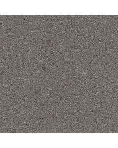 Shaw AFFIRMATION I Rush Hour Carpet - SH-5E794-00501
