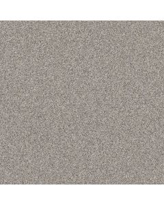 Shaw AFFIRMATION I Shaved Ice Carpet - SH-5E794-00510