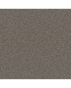Shaw AFFIRMATION I Orion Gray Carpet - SH-5E794-00512
