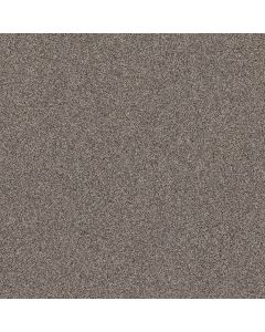 Shaw AFFIRMATION I Granite Carpet - SH-5E794-00513