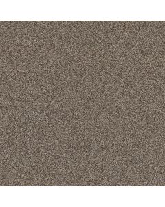 Shaw AFFIRMATION I Havana Carpet - SH-5E794-00708